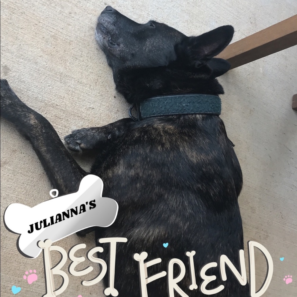 Meet your Posher, Christy